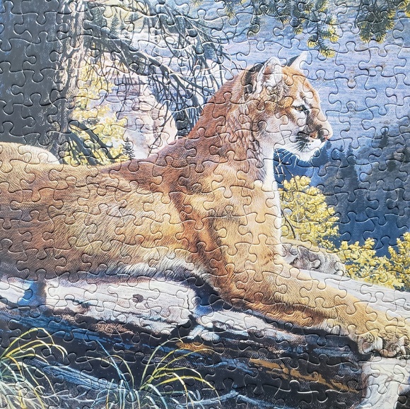 Meet your Posher, Vanessa - Picture 1 of 1